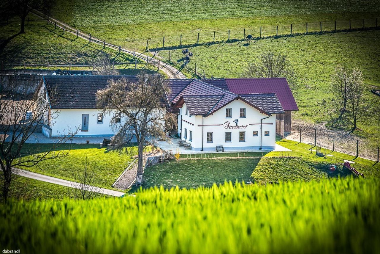 Straußenhof Halmer Oberndorf an der Melk Exterior foto